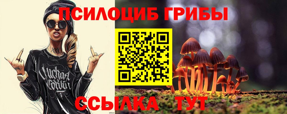 Джанкой  Псилоцибиновые грибы мицелий  Вход с VPN  Псилоцибиновые грибы мицелий 
